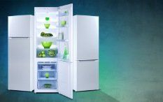 Компания Pozis создает «поющие» холодильники с художественной росписью